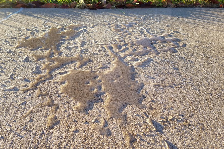 Sealant beading on a concrete path